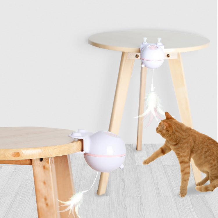 "Pet toy ball with teaser wand, replaceable feather tip"