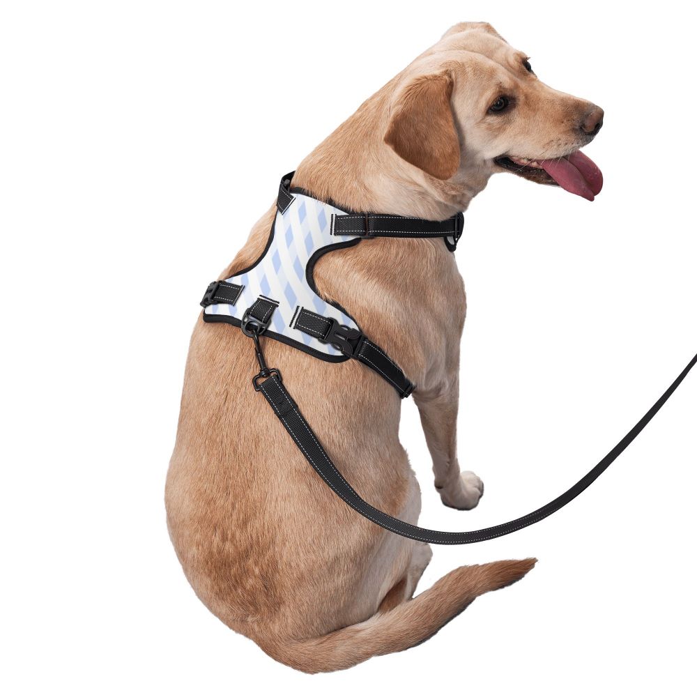 "Oxford dog harness size chart for small to large dogs"