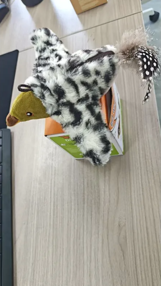 Flapping Bird Cat Toy – Moving Wings & Real Bird Sounds