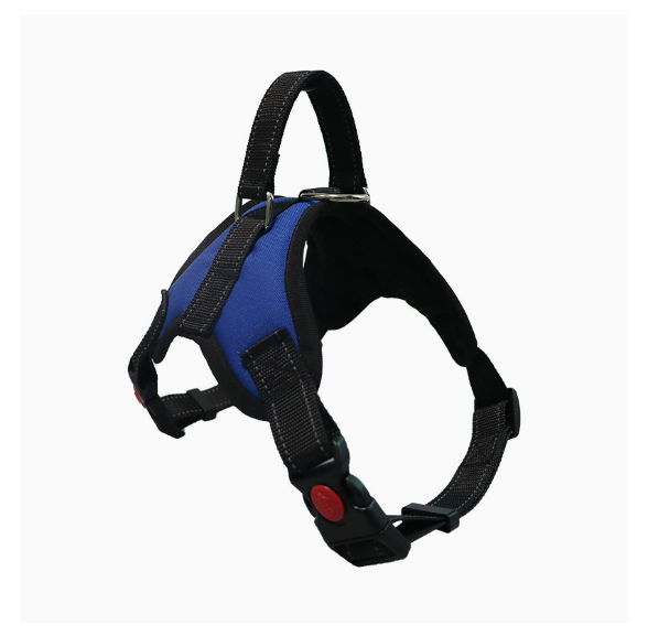Oxford Padded Dog Harness with Leash  (blue)