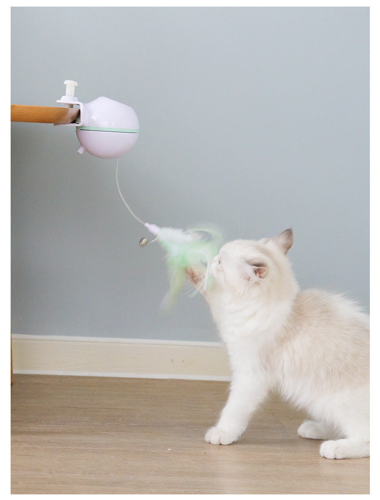 "Cat playing with USB electric teaser wand ball toy"
