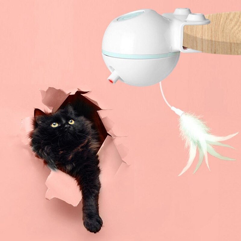 "Cat playing with USB electric teaser wand ball toy"